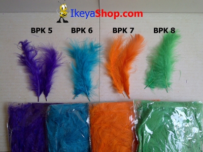 BPK 5 8  large2